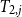 upper T Subscript 2 comma j