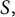 upper S comma