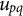 u Subscript p q