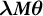 lamda upper M theta