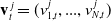 bold v Subscript t Superscript j Baseline equals left parenthesis v Subscript 1 comma t Superscript j Baseline comma period period period comma v Subscript upper N comma t Superscript j Baseline right parenthesis