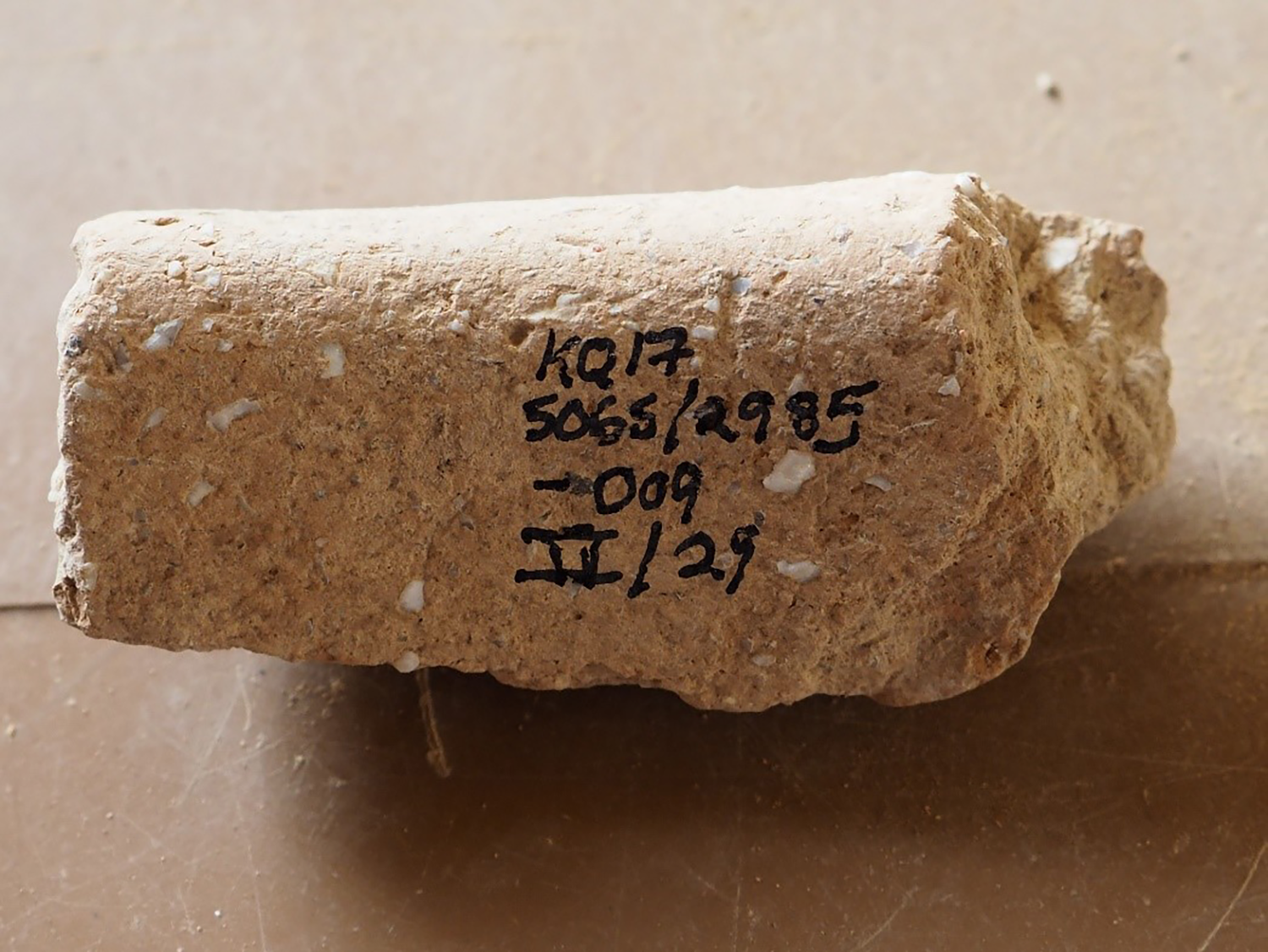 A piece of pottery with visible shell temper and handwritten markings.