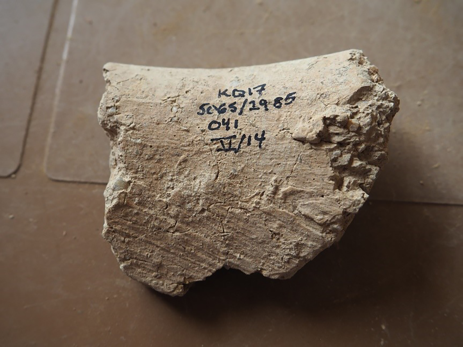 A rough, scraped interior of a cooking pot with visible particles.