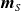 bold italic m Subscript upper S