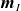 bold italic m Subscript upper I
