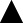 Solid black triangle pointing upward.