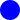 Small blue circle.