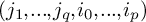left parenthesis j 1 comma period period period comma j Subscript q Baseline comma i 0 comma period period period comma i Subscript p Baseline right parenthesis