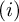 left parenthesis i right parenthesis