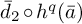 d overbar Subscript 2 Baseline ring h Superscript q Baseline left parenthesis a overbar right parenthesis