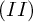 left parenthesis upper I upper I right parenthesis