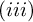 left parenthesis i i i right parenthesis