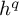 h Superscript q