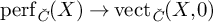 perf Subscript ModifyingAbove italic upper C With italic caron Baseline left parenthesis upper X right parenthesis right arrow vect Subscript ModifyingAbove italic upper C With italic caron Baseline left parenthesis upper X comma 0 right parenthesis