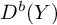 upper D Superscript b Baseline left parenthesis upper Y right parenthesis