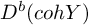upper D Superscript b Baseline left parenthesis c o h upper Y right parenthesis