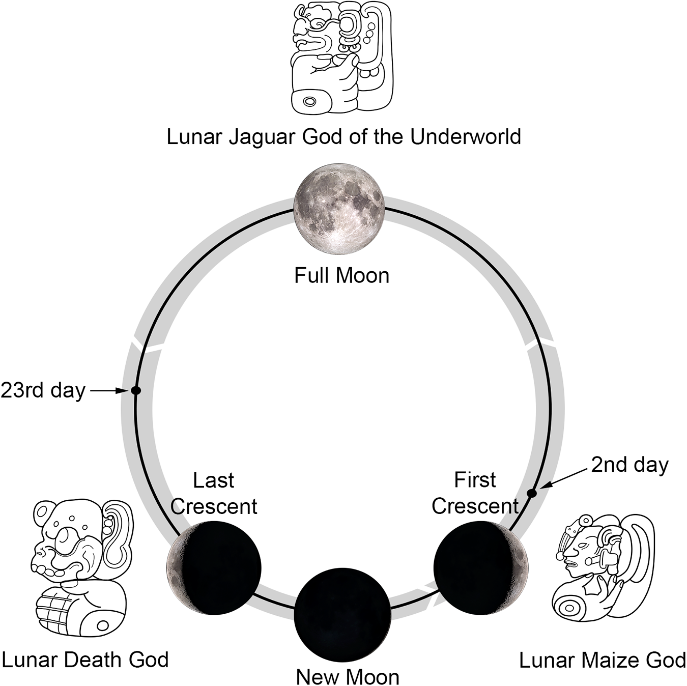 Diagram showing lunar phases with deities: Lunar Maize God, Lunar Jaguar God of the Underworld and Lunar Death God. See long description.