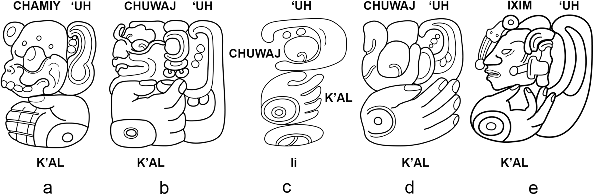 Illustrations of five variants of Glyph C, each depicting different deity heads and logograms. See long description.