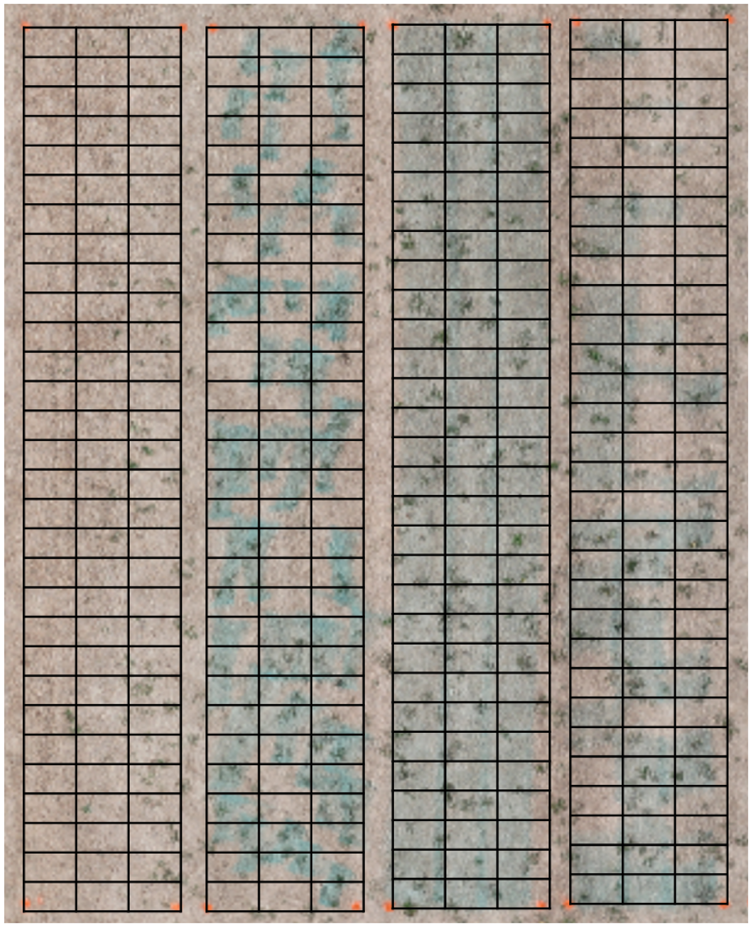 Figure 8