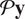 script upper P bold y