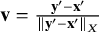 bold v equals StartFraction bold y prime minus bold x Superscript prime Baseline Over StartMetric bold y prime minus bold x Superscript prime Baseline EndMetric Subscript upper X Baseline EndFraction