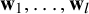bold w 1 comma ellipsis comma bold w Subscript l Baseline