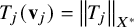 upper T Subscript j Baseline left parenthesis bold v Subscript j Baseline right parenthesis equals StartMetric upper T Subscript j Baseline EndMetric Subscript upper X Sub Superscript asterisk