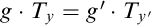 g dot upper T Subscript y Baseline equals g prime dot upper T Subscript y prime