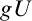 g upper U