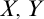 upper X comma upper Y