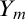 upper Y Subscript m