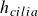 h Subscript c i l i a