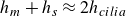h Subscript m Baseline plus h Subscript s Baseline almost equals 2 h Subscript c i l i a