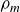 rho Subscript m