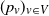 left parenthesis p Subscript v Baseline right parenthesis Subscript v element of upper V