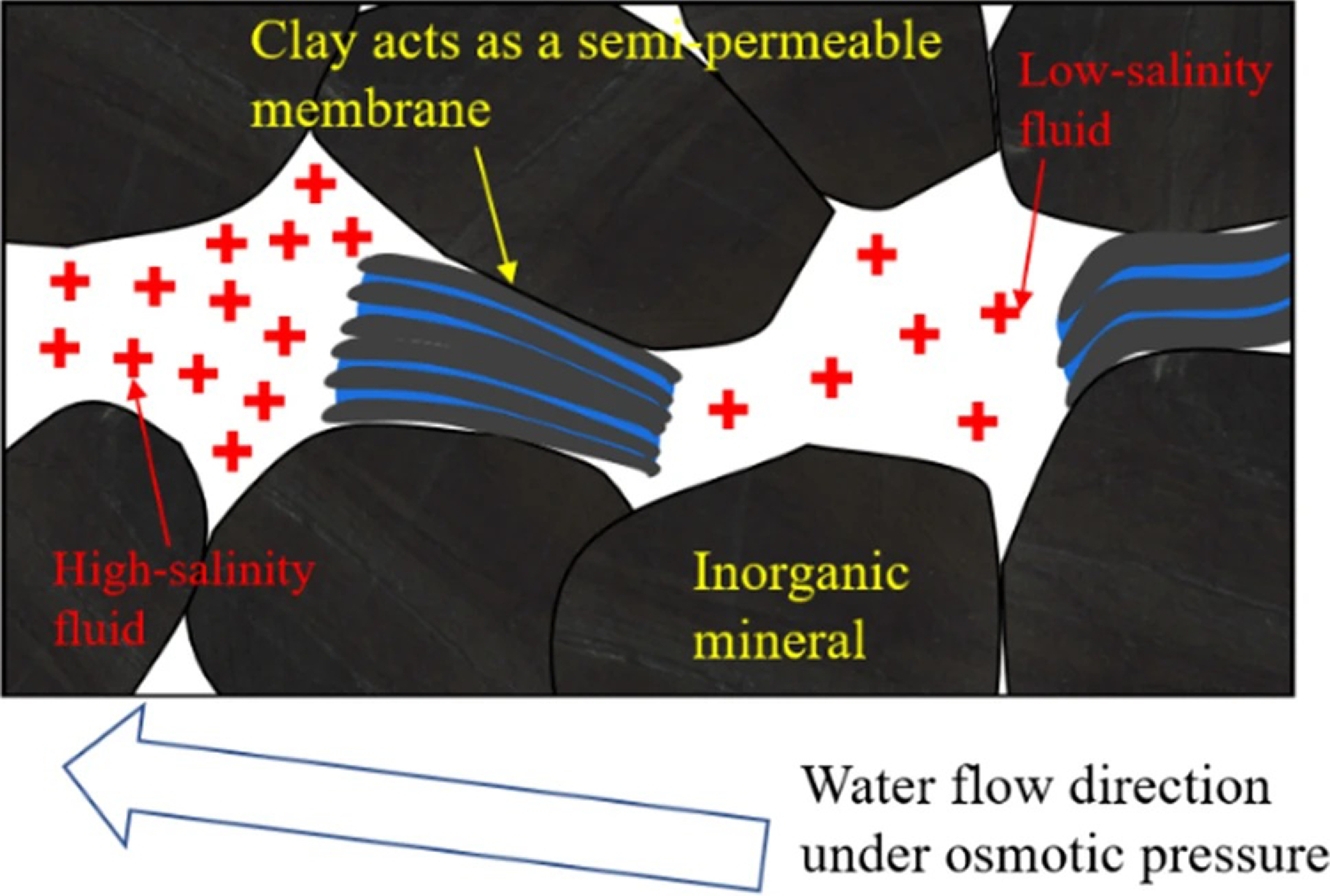 A diagram showing osmotically driven water imbibition in shale matrix with low-salinity fluid interacting with high-salinity fluid.