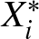 Xi asterisk