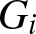 Gi