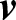 v