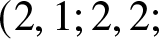 left parenthesis 2 comma 1 semicolon 2 comma 2 semicolon