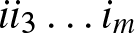 ii 3 ellipsis im