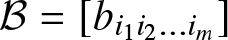 upper B equals left bracket bi 1 i 2 ellipsis im right bracket