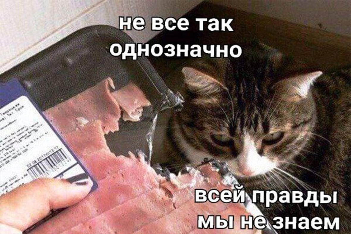 Photo of a tabby cat looking at a person holding a package of sliced meat. Russian text at the top and bottom translates to Not everything is so unambiguous. We do not know the whole truth.