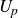 upper U Subscript p