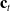 bold c Subscript t