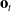 bold o Subscript t