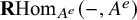 bold upper R hom Subscript upper A Sub Superscript e Baseline left parenthesis minus comma upper A Superscript e Baseline right parenthesis