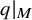 q vertical bar Subscript upper M Baseline
