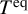 upper T Superscript eq