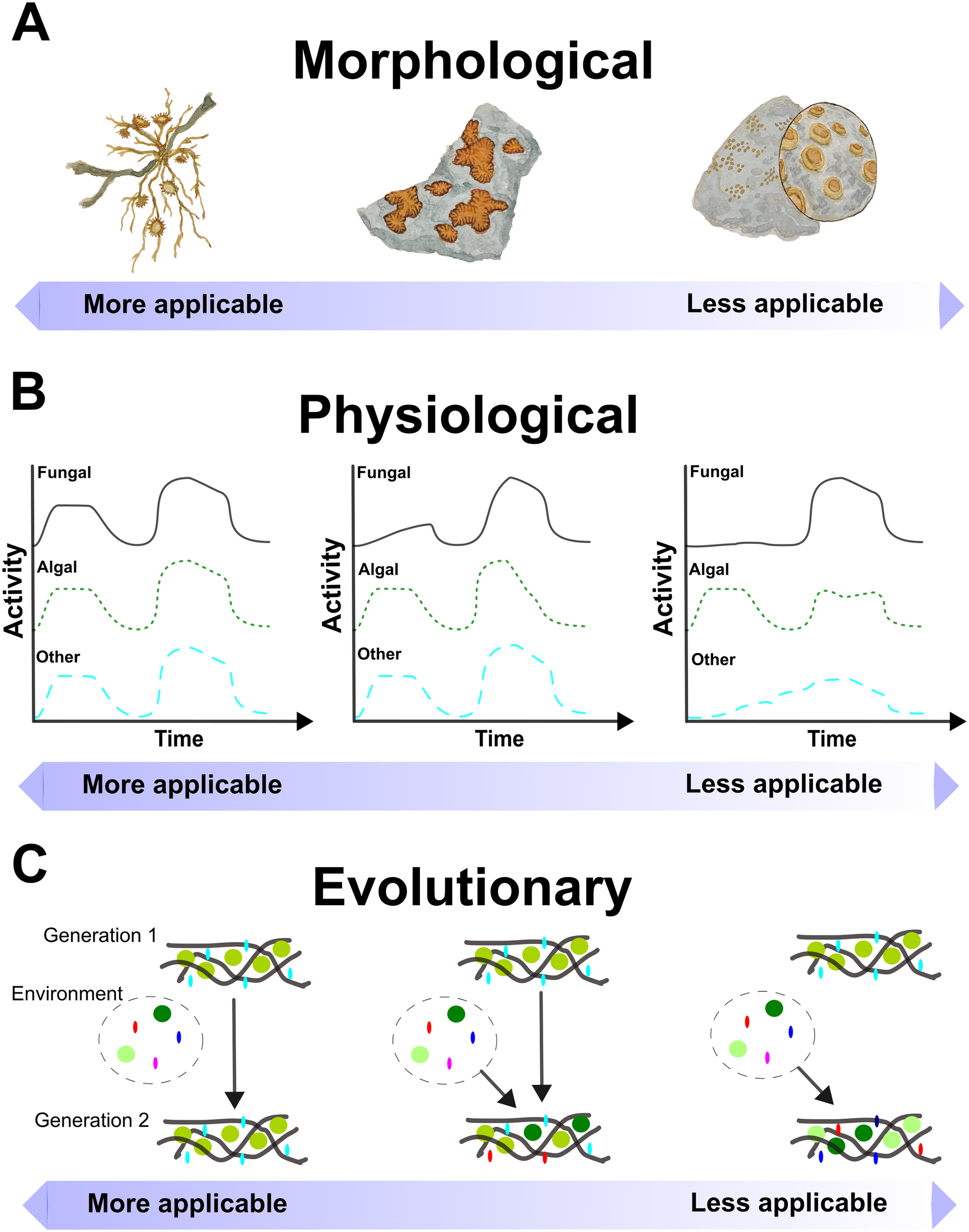 A three-row, three-column schematic compares morphological, physiological, and evolutionary perspectives on lichen individuality, each with a left-to-right gradient of applicability. See long description.